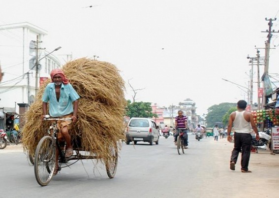 A rickshaw puller carrying hay at Sakuntala road. TIWN Pic July 4 A rickshaw puller carrying hay at Sakuntala road. TIWN Pic July 4